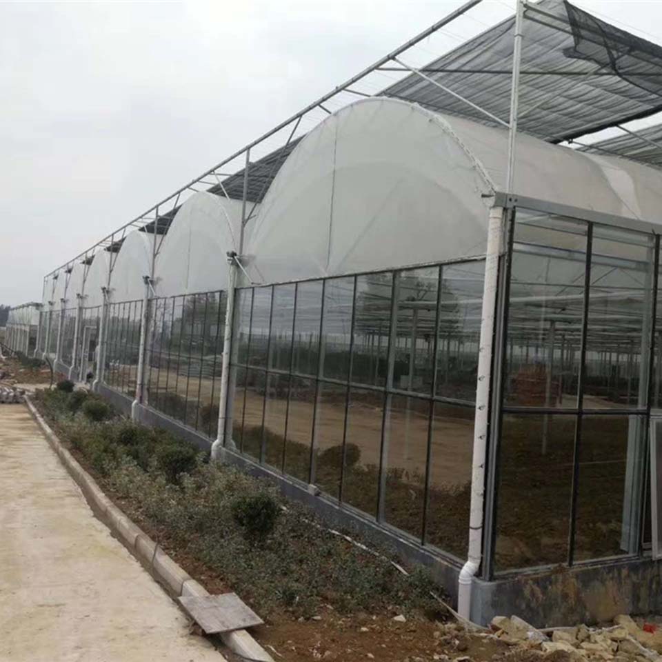 当前位置:>首页>河北新型草莓大棚> 花卉温室大棚是一种市场上很常见