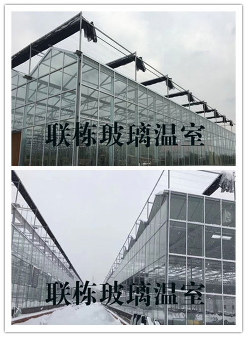 山东新型温室大棚建造