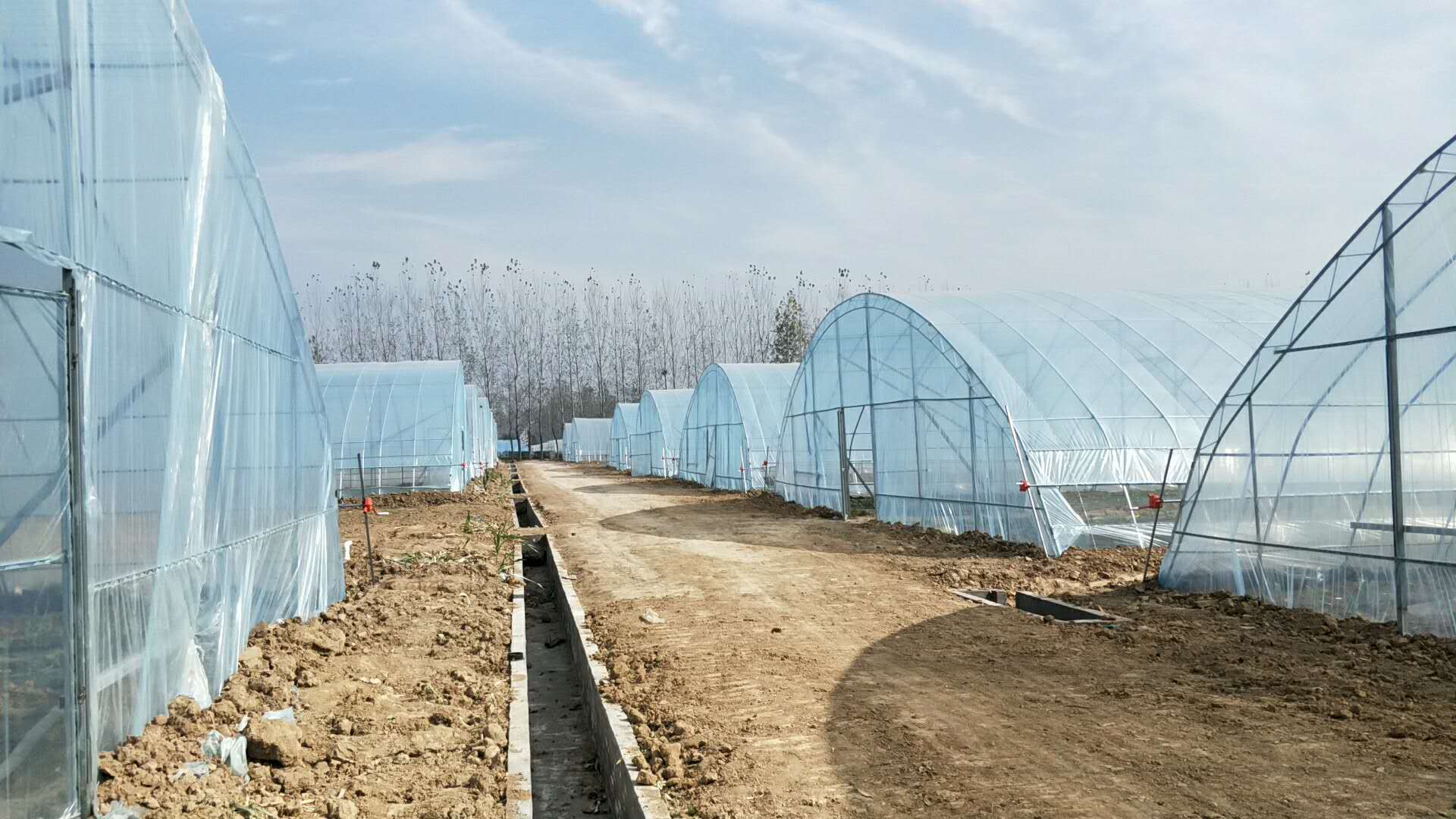 驻马店新型西瓜大棚