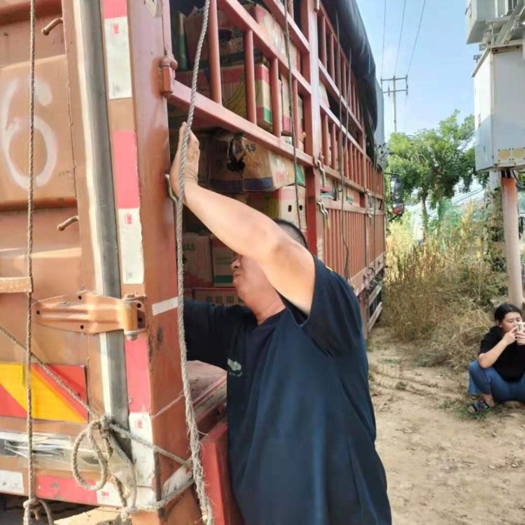 内蒙古工程用紫叶小檗种植基地今日实时行情