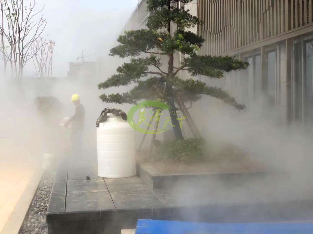 动作奇特其中一只趴在抱枕上,坦胸,而另一只跪在它的身后像是在"捶背"