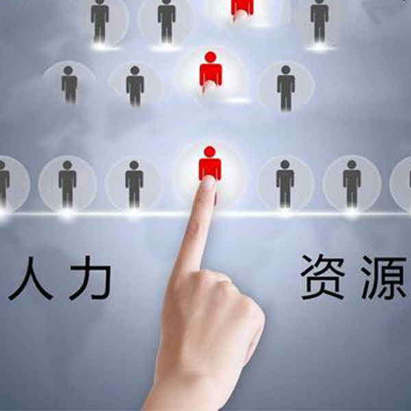人力资BOB全站源公司(图4)