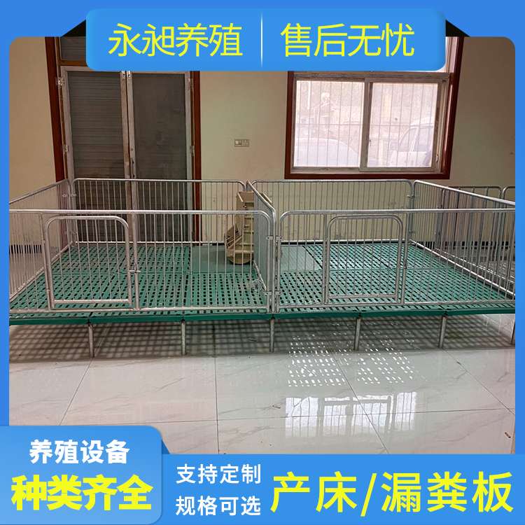 小型养猪场仔猪保育床漏粪地板