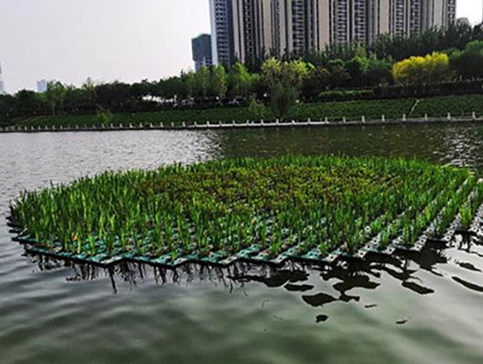 湖南专业组合式生态浮岛厂家(水上植物浮盆)